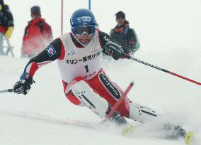 (2)Palander, Schoenfelder tie for 1st at World Cup slalom